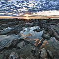 Sanctuary Sunrise